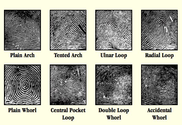 Identifying different Fingerprints